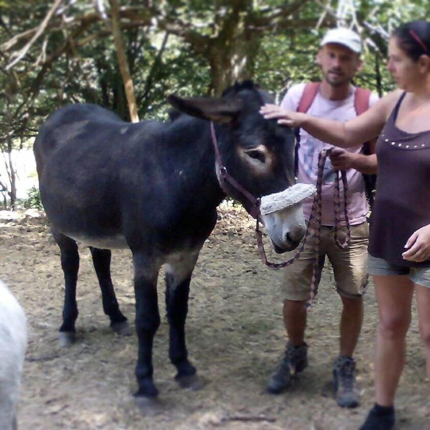 Ferme De Samson Villa Saint-Péray Rum bild